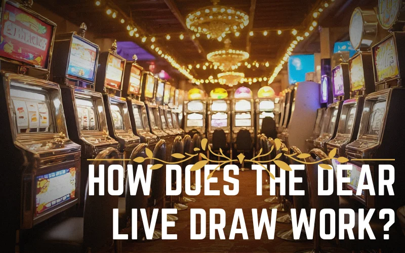 dear live lottery