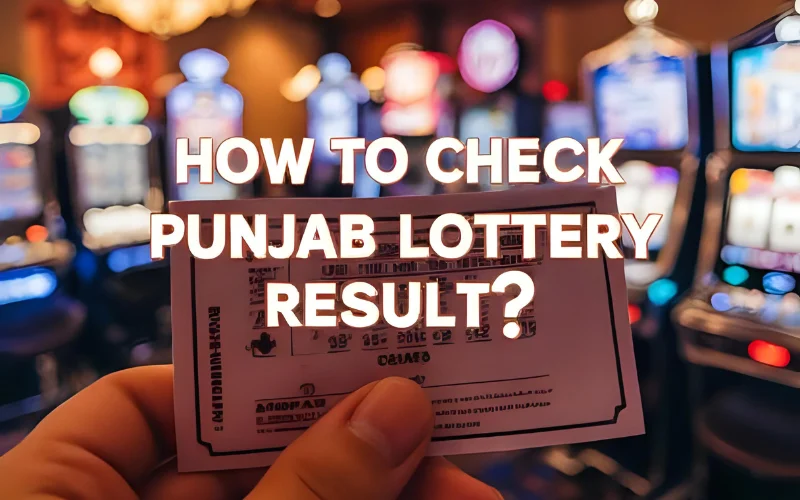sunlot lottery